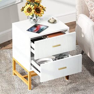 Tribesigns 2-Drawer Nightstand Set of 2, Modern Striped Night Stands Bed Side Table with Storage, White and Gold End Table Wood Metal Side Table for Living Room, Bedroom