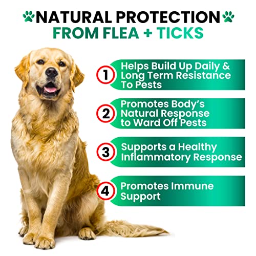 Flea and Tick Prevention for Dogs Chewables - Natural Dog Flea & Tick Control Supplement - Flea and Tick Chews for Dogs - Oral Flea Pills for Dogs - All Breeds and Ages - Soft Tablets - Made in USA