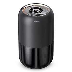 hepa air purifiers for bedroom- dreamegg quiet air purifiers for pets allergy dander odor for small room, activated carbon filter for pet smell, room pet air cleaners removes 99.97% pollen smoke dust mold