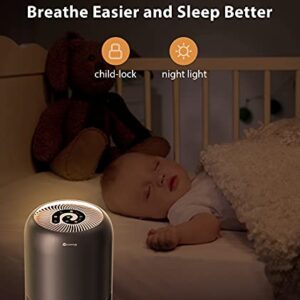 HEPA Air Purifiers for Bedroom- Dreamegg Quiet Air Purifiers for Pets Allergy Dander Odor for Small Room, Activated Carbon Filter for Pet Smell, Room Pet Air Cleaners Removes 99.97% Pollen Smoke Dust Mold