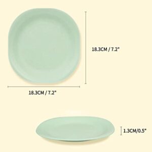 FYY Plastic Plates (7 Inch), Reusable BPA free Dinner Plate Dishwasher & Microwave Safe Unbreakable Dessert Salad Plates for Home Restaurant Cafe School Picnic, Set of 4-4 Assorted Colors