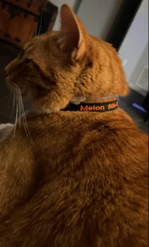 shangye Personalized Cat Collar, Custom Embroidered Cat Collars with with Name and Phone Number, Nylon ID Collar for Cat or Kitten with Breakaway Safety Release Buckle with Bell