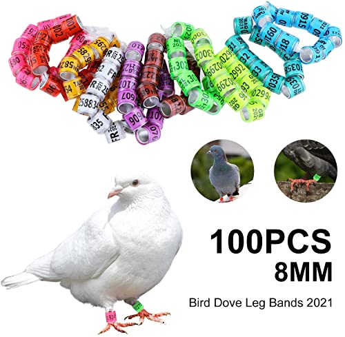 100Pcs Pigeon Ring/Dove Rings Multicolor Aluminium Pigeon Leg Rings Dove Leg Rings Identify Bands Plastic with 2023 AU Training Identify Birds Foot Ring, Quality Durable
