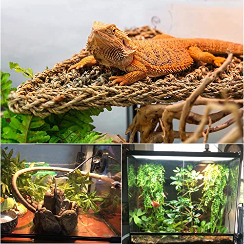 Woyrise Bearded Dragon Hammock Reptile Lounger Reptiles Plants Hanging Fake Vines Boston Bearded Dragon Tank Accessories Decorfor Chameleon, Lizards, Geckos, Hermit Crabs