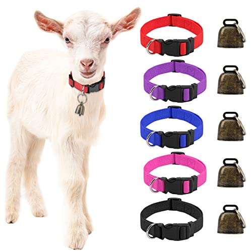 GINDOOR 5 Pack Goat Collars with Bells, Cow Horse Sheep Grazing Copper Bells and Adjustable Nylon Collar Set Pet Anti-Lost Loud Bronze Bell for Small Farm Animal Goat Sheep Cow Accessories