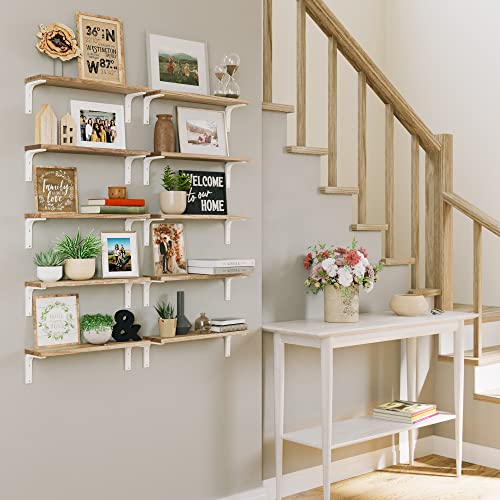 Wallniture Nola Set of 10 Bookshelf Floating Shelves for Wall Storage,Wall Shelf for Living Room, Bedroom, Office, Burnt Finish White Bracket