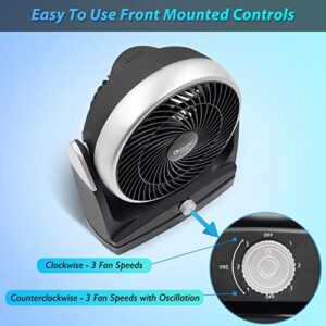 Comfort Zone CZHV81TBK 8" 3-Speed High-Velocity, Oscillating Desk Fan, 180-Degree Adjustable Tilt, Black