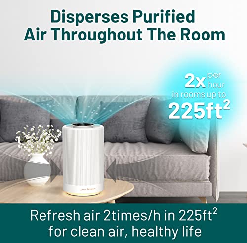 Jafanda Air Purifiers for Home bedroom,H13 True HEPA Coverage 450 sqft,23 dB Air cleaner with Brushless Motor,Effectively Remove Pollen Dust and Odor to Prevent Seasonal Air Diseases,Night Light