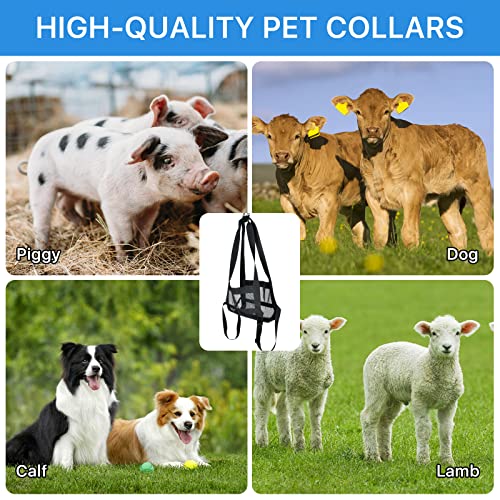 Calf Sling for Weighing Small Animals Calf Hanging Weight Scale Sling with Adjustment Strap Livestock Sling with Livestock Collar Hang Scale for Weighing Calve Lamb Goat Alpacas Newborn Livestock Dog