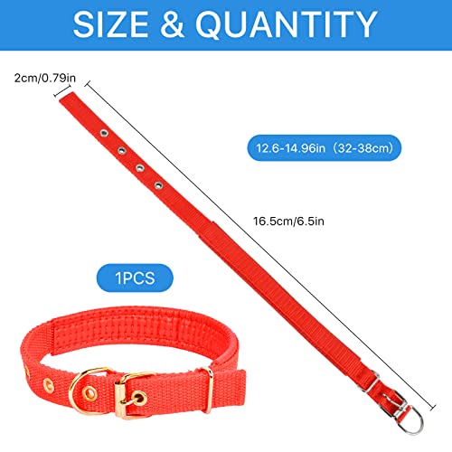 Calf Sling for Weighing Small Animals Calf Hanging Weight Scale Sling with Adjustment Strap Livestock Sling with Livestock Collar Hang Scale for Weighing Calve Lamb Goat Alpacas Newborn Livestock Dog