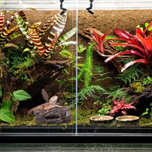 Reptile Hide, Reptile Food Bowls, Lizard Resin Hollow Tree Trunk Hideout, Bearded Dragon Tank Accessories Reptile Water Dish Habitat Tank Decoration for Lizards, Snake, Gecko, 3 Pcs (Brown Rock)