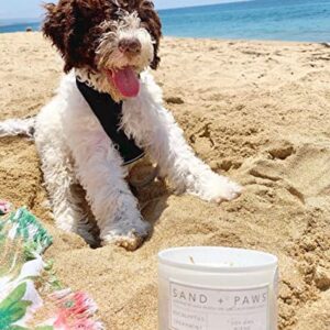 Sand + Paws Scented Candle - Sage & Sea Salt - Additional Scents and Sizes –Luxurious Air Freshening Jar Candles Neutralize pet Odors and Enhance Home décor – 100% Cotton Lead-Free Wicks - 12 oz