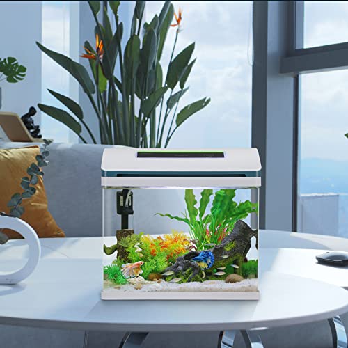 Betta Fish Tank Glass 5 Gallon Self Cleaning Small Aquarium Starter Kits Desktop Room Decor w/LED Light & Filters Water Pump