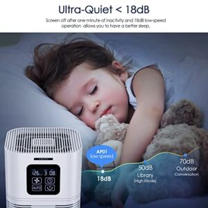 Air Purifiers for Bedroom Home Large Room 610 sq.ft, AMEIFU H13 Hepa Air Purifier Cleaner with Aromatherapy, with Air Filter for Pets Hair, Allergies, Smoke, Dust and Bad Smell (California Available)