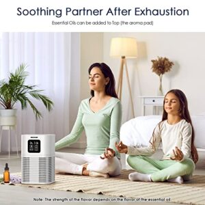 Air Purifiers for Bedroom Home Large Room 610 sq.ft, AMEIFU H13 Hepa Air Purifier Cleaner with Aromatherapy, with Air Filter for Pets Hair, Allergies, Smoke, Dust and Bad Smell (California Available)