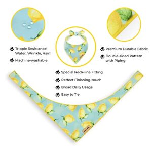 Paws Wishes Dog Bandana 2 Pack, Lemon Fruit and Candy Set Lemon Festival, Pet Friendly Design, Hair and Water Resistant, Adjustable Dog Scarf for Small Boy Girl Dog