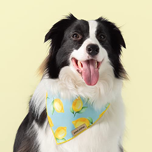 Paws Wishes Dog Bandana 2 Pack, Lemon Fruit and Candy Set Lemon Festival, Pet Friendly Design, Hair and Water Resistant, Adjustable Dog Scarf for Small Boy Girl Dog