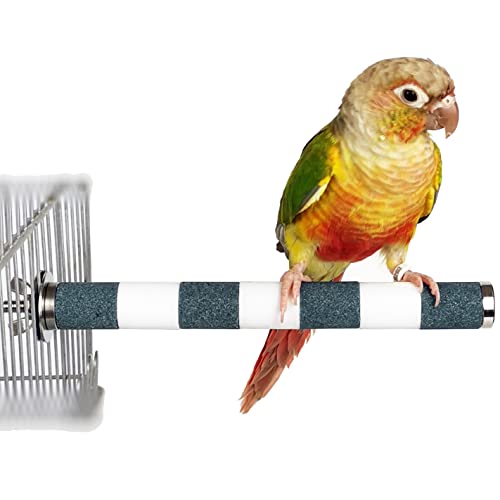 Rough-surfaced Bird Perch Beak Grinding Rod and Stainless Steel Safe Non-Toxic Durable Bird Stand for Parakeets, Conure and Other Small and Medium-Sized Birds 7.9" -Green