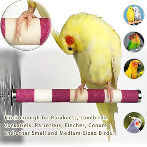 Rough-surfaced Bird Perch Beak Grinding Rod and Stainless Steel Safe Non-Toxic Durable Bird Stand for Parakeets, Conure and Other Small and Medium-Sized Birds 7.9" -Green