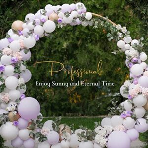 Sunnacate Balloon Arch Stand, 6.56 Ft Stable Golden Circle Balloon Arch Frame Round Backdrop Stand for Wedding Birthday Party Baby Shower Decoration