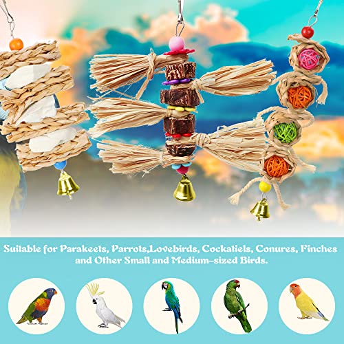 Bird Chewing Toys - Wicker Ball Natural Cuttlebone Woven Grass Bird Beak Grinding Chew Shredder Toy with Bell, Texsens Bird Backpack Cage Hanging Toy for Parrot Parakeet Cockatiel Conure African Grey