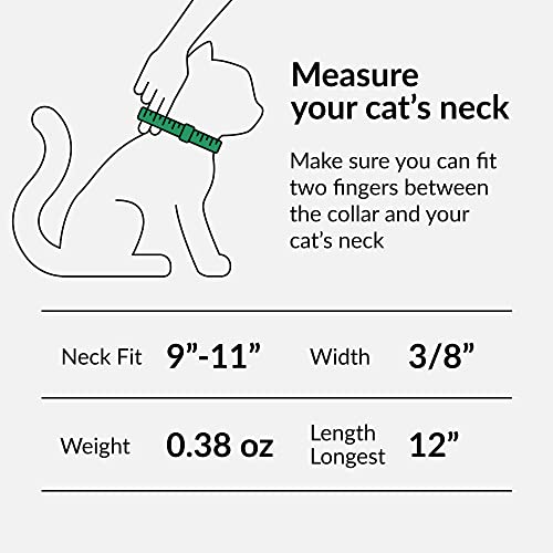 CollarDirect Leather Cat Collar with Bell - Kitten Collar, Small and Big Cat Collar for Boy Cats, Girl Cats with Safety Elastic Strap (Neck Fit 9"-11", Mint Green)