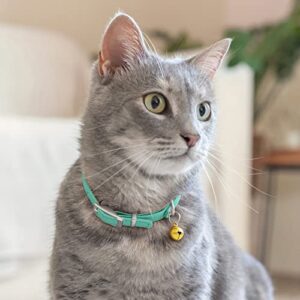 CollarDirect Leather Cat Collar with Bell - Kitten Collar, Small and Big Cat Collar for Boy Cats, Girl Cats with Safety Elastic Strap (Neck Fit 9"-11", Mint Green)