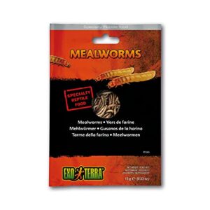 exo terra vacuum packed reptile food, insects for reptiles and amphibians, mealworms