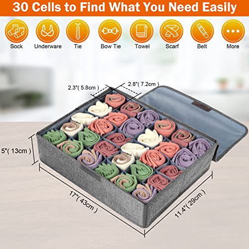 Hyttrolly 30 Cells Underwear Sock Scarf Tie Drawer Organizer, with Lid Washable Foldable and Durable Fabric, Perfect for Underwear Sock Tie Lingerie Storage and More, Get Organized Today!