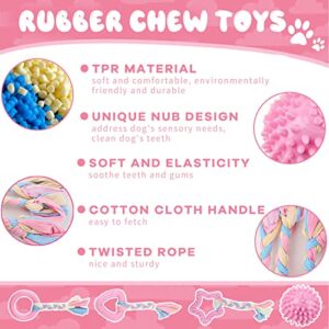 AXIIJGL 5 Pack Puppy Chew Toys Pink Puppy Rubber Teething Toys Girl Dog Toys for Small Breed Dogs Squeaky Plush Teething Cleaning Toys for Puppies Doggie Toys for Puppy Pet Toys for Small Dogs