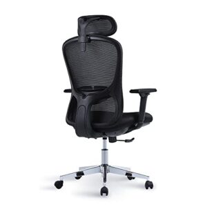 karxas ergonomic office chair high back desk chair with adjustable lumbar support, headrest & armrest, swivel computer task chair (black)