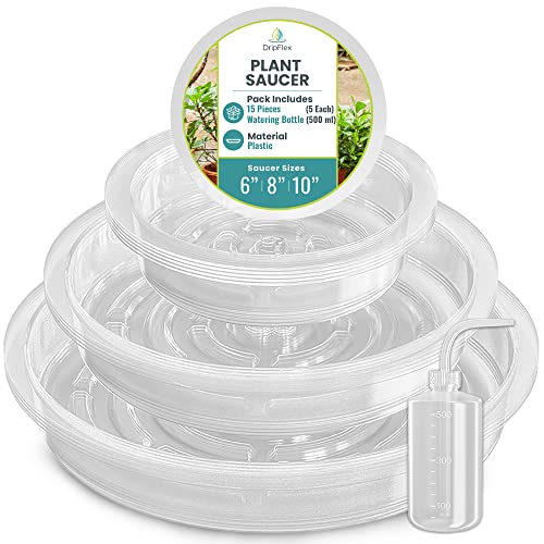 DripFlex 15 Pcs Clear Plant Saucers for Indoors (6,8,10) Inch + 1 Squeeze Succulent Watering Bottle(500ml), Plant Trays for Pots - Clear Round Sturdy Plastic Plant Trays for Indoors No Holes