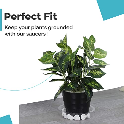 DripFlex 15 Pcs Clear Plant Saucers for Indoors (6,8,10) Inch + 1 Squeeze Succulent Watering Bottle(500ml), Plant Trays for Pots - Clear Round Sturdy Plastic Plant Trays for Indoors No Holes