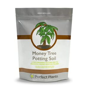 perfect plants money tree potting soil 4qt | organic coco coir based plant mix for indoor trees | quickly grow your indoor forest
