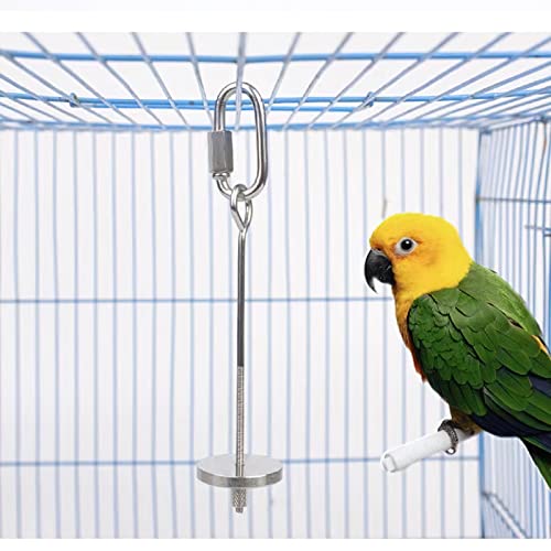 Nuatpetin Bird Food Holder, 2 PCS Stainless Steel Hanging Bird Feeders Bird Treat Skewer for Cage, Parrot Foraging Toy Feeder Toys Holder Fruit Veggies Feeding Stick for Parrot Cockatiel Macaw