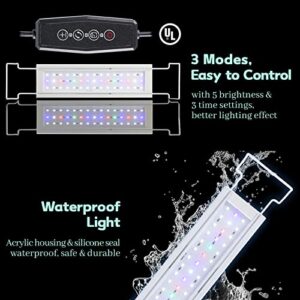 LAQUAL Aquarium Starter Kit (3 Gal), Rimless Glass Low Iron Fish Tank, Ultra Clear Fish Tank with Filter and Light, Small Beta Fish Tank & Filter with Surface Skimmer & 3-Mode LED Light