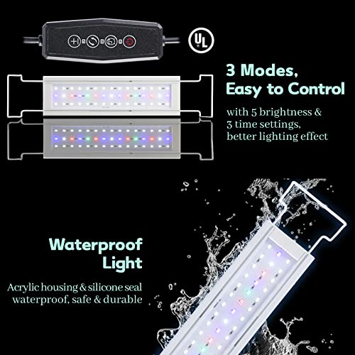 LAQUAL Aquarium Starter Kit (3 Gal), Rimless Glass Low Iron Fish Tank, Ultra Clear Fish Tank with Filter and Light, Small Beta Fish Tank & Filter with Surface Skimmer & 3-Mode LED Light