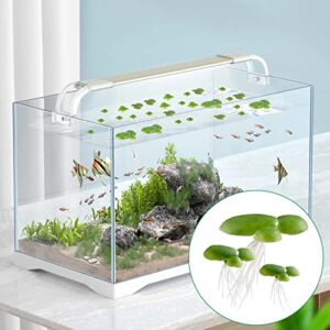 PAGOW 54pcs Floating Aquarium Plants, Plastic Fake Duckweed, Artificial Floating Plant for Aquarium(1.57x1.73inch / 40x44mm, 0.86x0.86inch/22mmx22mm, 0.59x0.59inch/15x15mm)