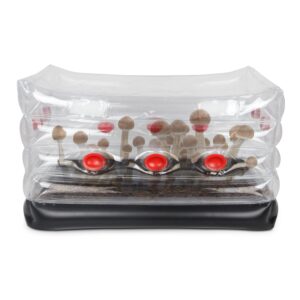 mushroom monotub kit, home inflatable mushroom grow kit - save your mushroom grow bags