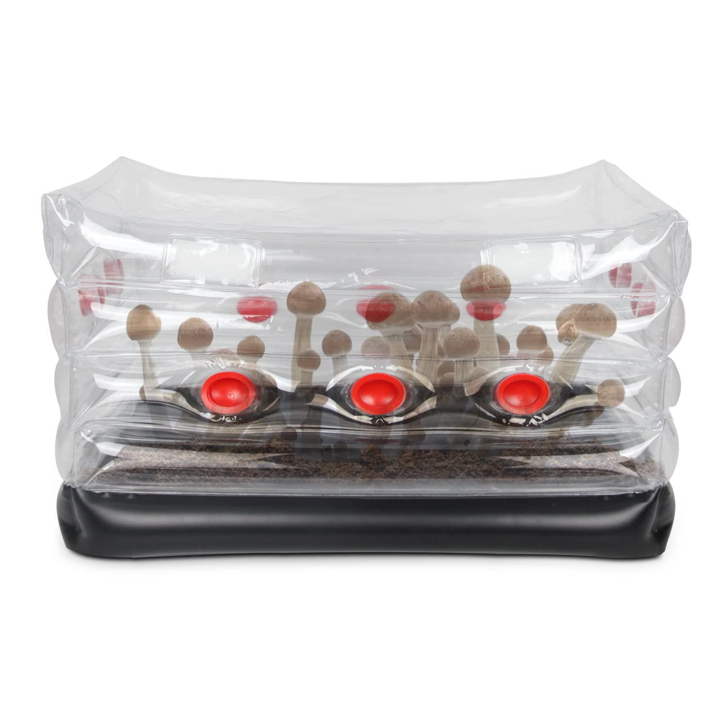 Mushroom Monotub Kit, Home Inflatable Mushroom Grow Kit - Save Your Mushroom Grow Bags