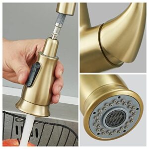 peskoe Gold Kitchen Faucet with Pull Down Sprayer Brushed Gold Kitchen Sink Faucets High Arc Single Handle Modern 2 Function Tall Faucet 360 Degree Swivel Spout