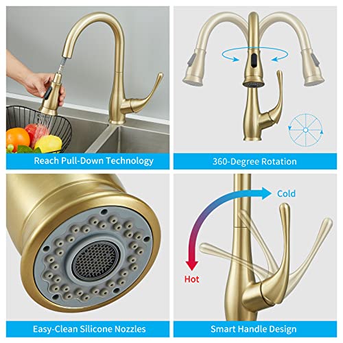 peskoe Gold Kitchen Faucet with Pull Down Sprayer Brushed Gold Kitchen Sink Faucets High Arc Single Handle Modern 2 Function Tall Faucet 360 Degree Swivel Spout