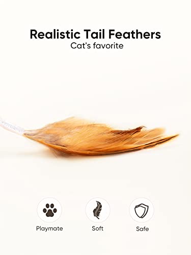 Petchain Interactive Cat Toy, Cat Toys for Indoor Cats Cat Feather Toys Automatic Cat Toy Cat Mouse Toy with Feather Tail Kitty Toys with USB Charging