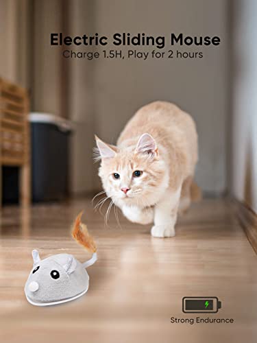 Petchain Interactive Cat Toy, Cat Toys for Indoor Cats Cat Feather Toys Automatic Cat Toy Cat Mouse Toy with Feather Tail Kitty Toys with USB Charging