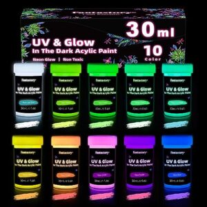 fantastory glow in the dark paint,10 extra bright colors 30 ml / 1 oz glow in dark paint, glow paint for halloween decoration, art painting, outdoor and indoor art craft, rocks, walls & fabric