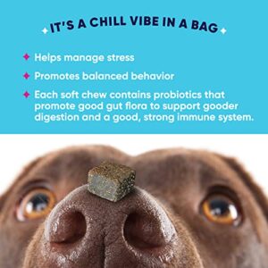 GoodGood Calming Dog Supplements; Helps Manage Stress and Nervousness; Chewable Soft Treats with Ashwagandha, Chamomile, L-Theanine; Probiotics; 90 Natural Flavor Chews