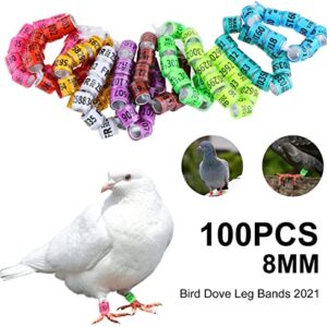 2023 dove rings, anillos para palomas, numbered 8mm bird band, Bird Leg Rings Bird Leg Plastic Pigeon Leg Bands Numbered Leg Rings with Training Identify Birds Foot Ring,Multicolor