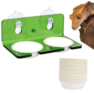 woledoe crested gecko feeding ledge with 20pcs 1oz biodegradable bowls, reptile food cups and water dish