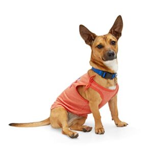 YOULY Wild & Free Dog Tank, X-Large