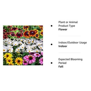1300+ Black Eyed Susan Flower Coneflower Seeds for Planting - Includes Gloriosa Daisy Rudbeckia Hirta, Carpet Creeeping Daisy and Purple Coneflower Seeds